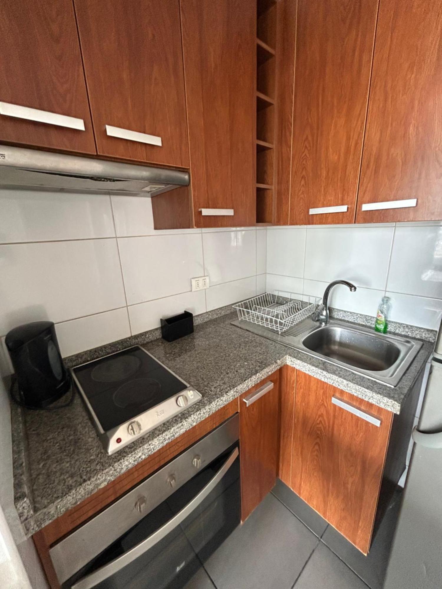 Mirador Parque Apartment Concepcion Ngoại thất bức ảnh